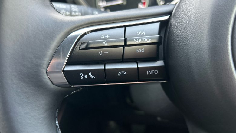 Mazda 3 2.5 e-Skyactiv G MHEV [140] Homura 5dr Petrol Hatchback